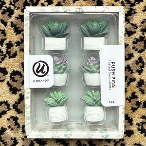 Potted Succulents Push Pins (NIB)